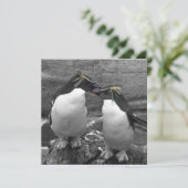 Pinguinfarbexplosion Save The Date (Stehend Vorderseite)