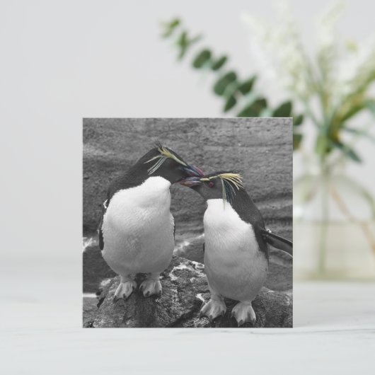 Pinguinfarbexplosion Save The Date (Stehend Vorderseite)