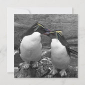 Pinguinfarbexplosion Save The Date (Vorderseite)