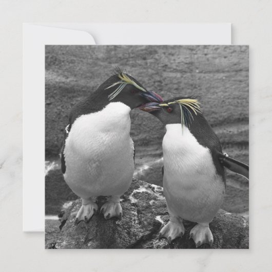 Pinguinfarbexplosion Save The Date (Vorderseite)