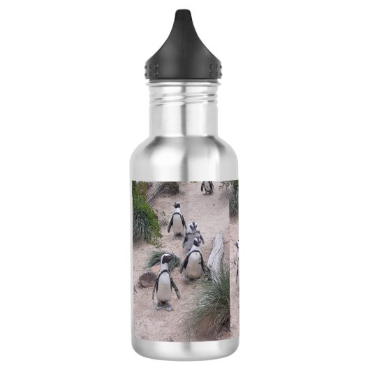 Pinguinflasche Edelstahlflasche (Links)