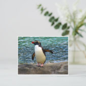 Pinguinflügel Postkarte (Stehend Vorderseite)