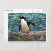 Pinguinflügel Postkarte (Vorne/Hinten)