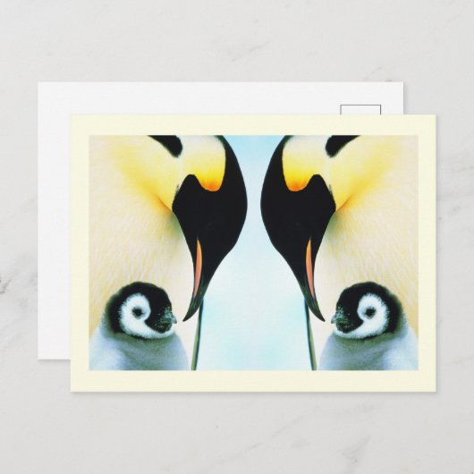 Pinguingevogel Postkarte (Vorne/Hinten)