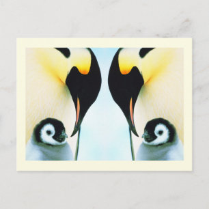 Pinguingevogel Postkarte