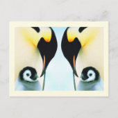 Pinguingevogel Postkarte (Vorderseite)