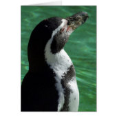 Pinguinkarte (Vorne)