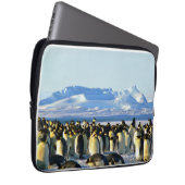Pinguinkolonie auf Eis Laptopschutzhülle (Vorne Rechts)