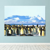 Pinguinkolonie auf Eis Leinwanddruck (Insitu (Holzboden))