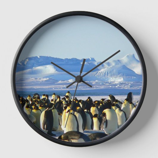 Pinguinkolonie auf Eis Uhr (Vorderseite)