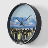 Pinguinkolonie auf Eis Uhr (Winkel)