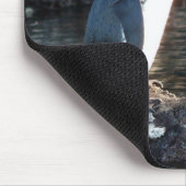 Pinguino De Galapagos Mousepad (Ecke)