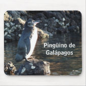 Pinguino De Galapagos Mousepad (Vorne)