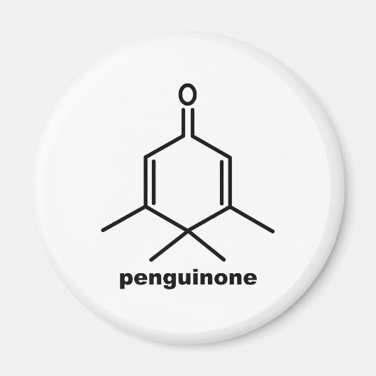 Pinguinon Magnet (Vorne)