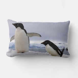 Pinguinpaar Adelie Antarktika Lendenkissen
