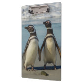 Pinguinpaare am Strand Klemmbrett (Links)