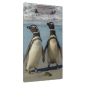 Pinguinpaare am Strand Klemmbrett (Rechts)