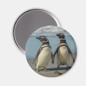 Pinguinpaare am Strand Magnet (Vorderseite/Rückseite)