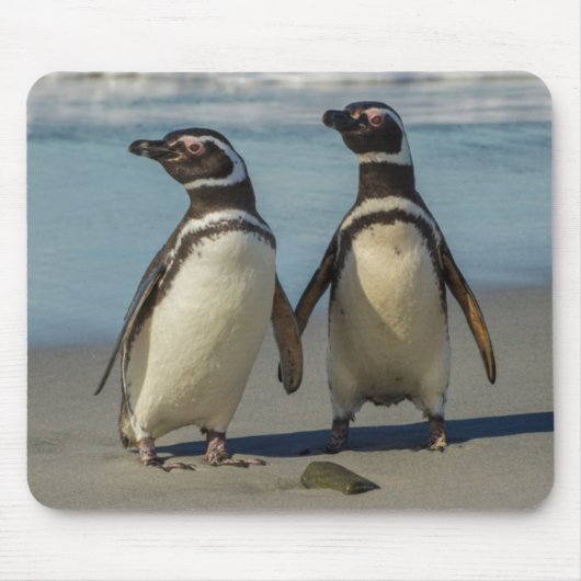 Pinguinpaare am Strand Mousepad (Vorne)