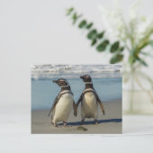 Pinguinpaare am Strand Postkarte (Stehend Vorderseite)