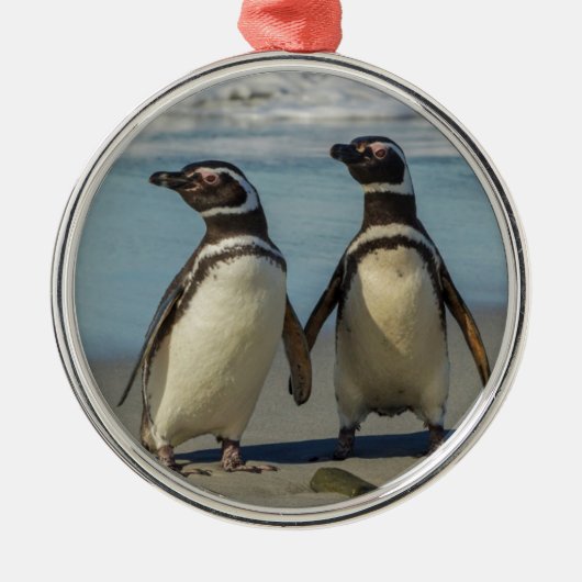 Pinguinpaare am Strand Silbernes Ornament (Vorne)