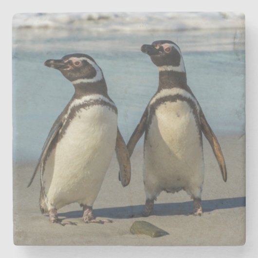Pinguinpaare am Strand Steinuntersetzer (Vorderseite)