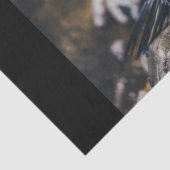 Pinguinpapier Seidenpapier (Detail)