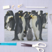 Pinguinpapier Seidenpapier (Handwerk)