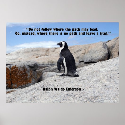 Pinguinphilosophie Poster (Vorne)