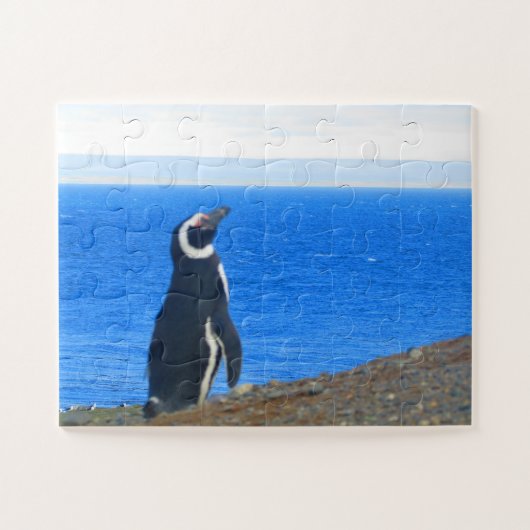Pinguinsolo Puzzle (Horizontal)