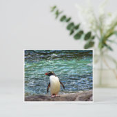 Pinguinstrecke Postkarte (Stehend Vorderseite)