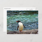 Pinguinstrecke Postkarte (Vorne/Hinten)