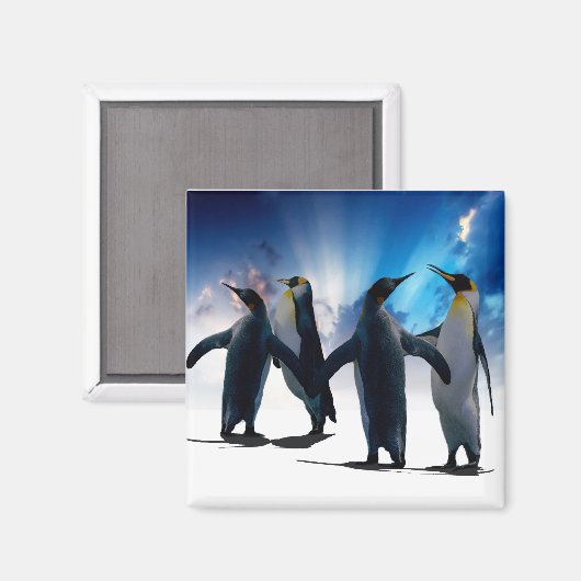 Pinguintanz Magnet (Vorderseite/Rückseite)