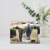Pinguinvogel Postkarte (Stehend Vorderseite)