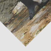 Pinguinzettel Seidenpapier (Detail)