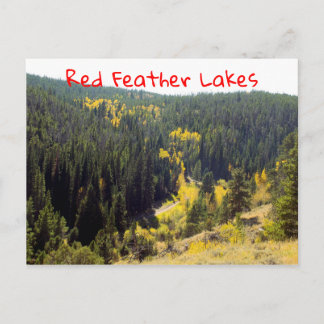 Pinien aus dem Colorado-Wald mit gelben Herbstaspe Postkarte