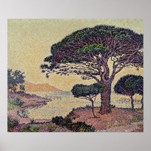 Pinien in Caroubiers, 1898 Poster (Vorne)