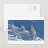 Pinien mit Schnee bedeckt Postkarte (Vorne/Hinten)