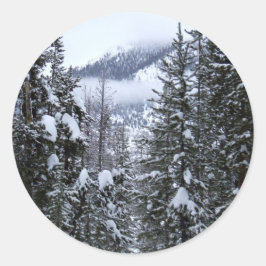 Pinien Runder Aufkleber