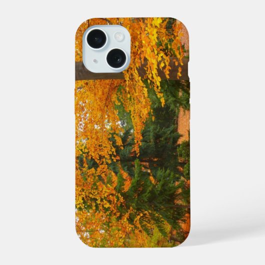 Pinien und Herbstbäume iPhone 15 Hülle (Rückseite)