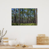 Pinien und Sägepalmenblätter drucken Poster (Küche)