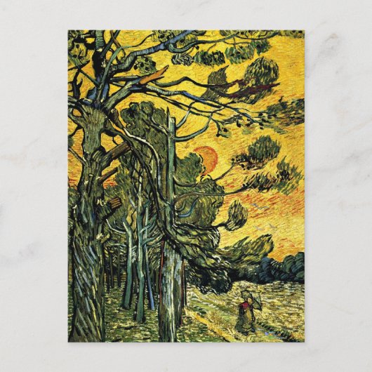 Pinienbäume gegen einen roten Himmel Postkarte (Vorderseite)