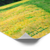 Pinienbäume Gelbe Blumen Feldnatur Poster (Ecke)