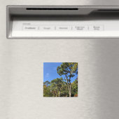 Pinienbäume im Herbst Himmel Magnet (In Situ (Geschirrspüler))
