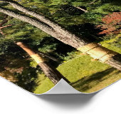 Pinienbäume im Herbst Himmel Poster (Ecke)