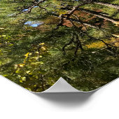 Pinienbäume im Herbst Himmel Poster (Ecke)