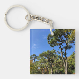 Pinienbäume im Herbst Himmel Schlüsselanhänger