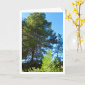 Pinienbäume im Wald Karte (Gelbe Blume)