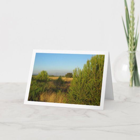 Pinienbäume Karte (Vorderseite)