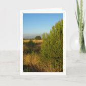 Pinienbäume Karte (Vorderseite)